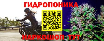 apvp Татарск