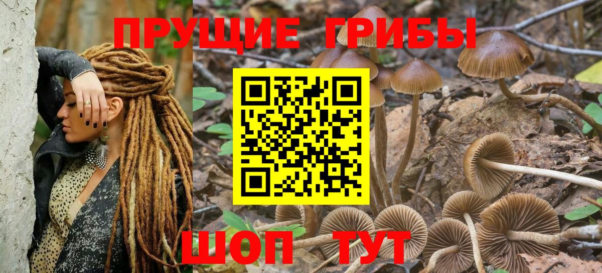 Псилоцибиновые грибы ЛСД Бор