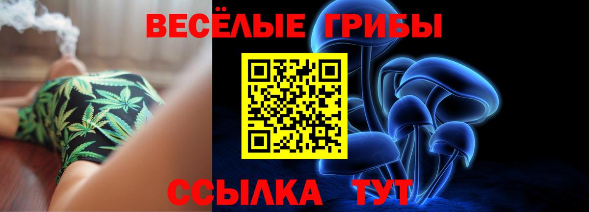 Бор  Псилоцибиновые грибы Magic Shrooms  Вход с VPN 
